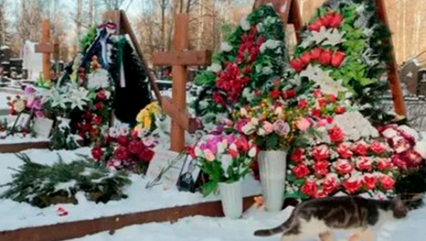 В Госдуме анонсировали снижение цен на ритуальные услуги